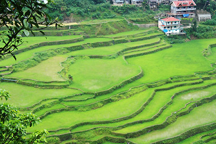a group of terraces near the Banaue poblacion showing modern building structures nearby