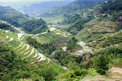 a view of the rice terraces at the Banaue Viewpoint often seen in postcards