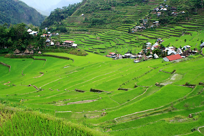 amphitheater-like arrangement of terraces in Batad with clusters of houses below