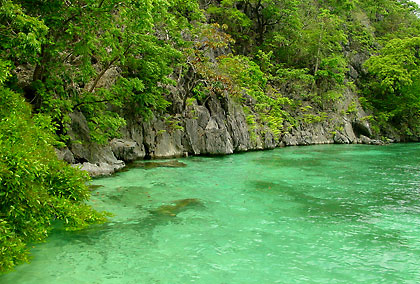 shallow waters near the Skeleton Wreck off Coron Island