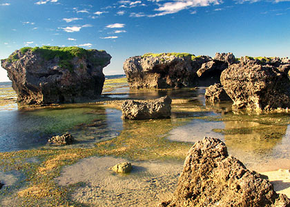 coral rocks and tidal pools at the Pangil Coral Gardens, Currimao, Ilocos Norte