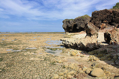 coral rocks and tidal pools on the way to Cabacungan Cove in Dasol