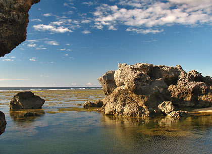 coral rocks in Currimao